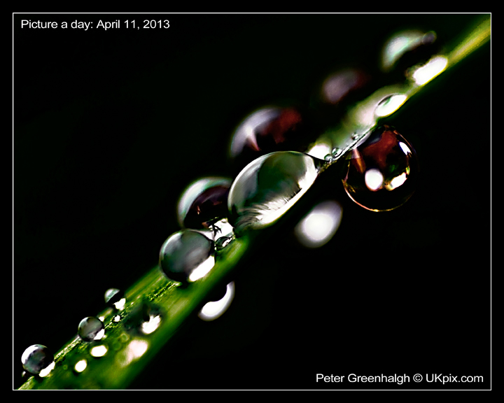 pic a day 2013 - 101 - Peter Greenhalgh