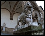 Medici lion, Loggia dei Lanzi, Piazza della Signoria in Florence