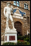 David statue (copy), Florence