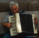 Accordian busker, Rome