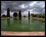 Just a small garden pond at Hadrian's Villa